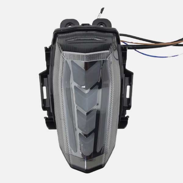 Integrated RGB Tail Light For R15 V3