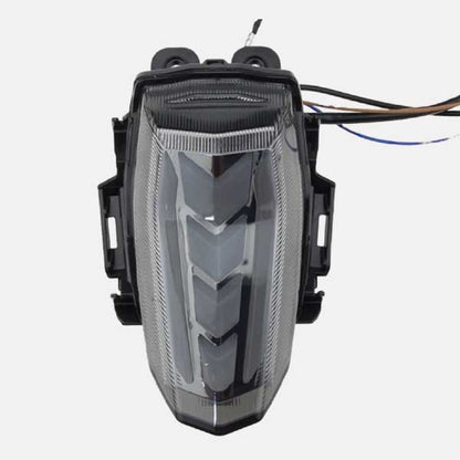 Integrated RGB Tail Light For R15 V3